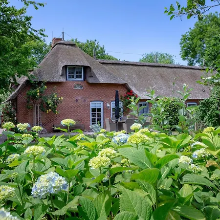 Apartmán Hus Op De Duen *